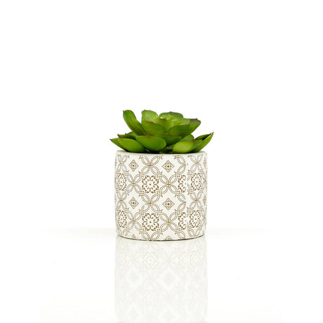 Fiori Set Of 3 Succulents In Henna Ceramic Pots