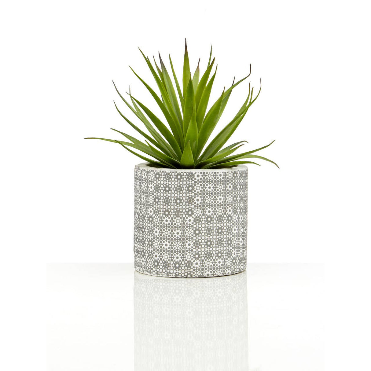 Fiori Set Of 3 Succulents In Henna Ceramic Pots