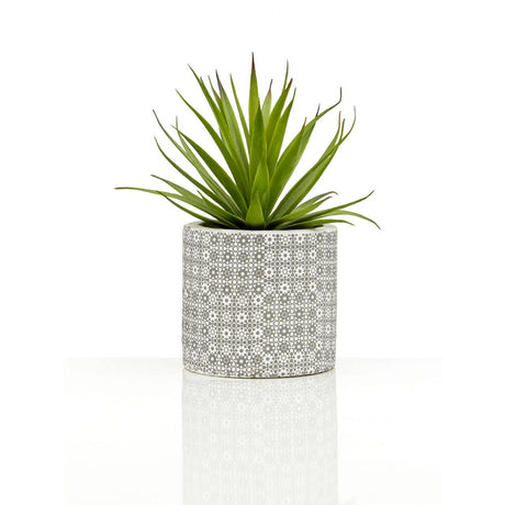 Fiori Set Of 3 Succulents In Henna Ceramic Pots