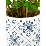 Fiori Set Of 3 Succulents In Henna Ceramic Pots