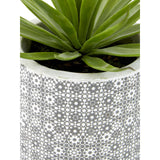 Fiori Set Of 3 Succulents In Henna Ceramic Pots