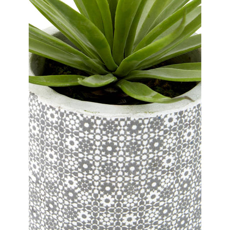 Fiori Set Of 3 Succulents In Henna Ceramic Pots