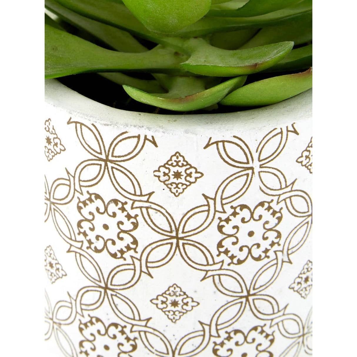 Fiori Set Of 3 Succulents In Henna Ceramic Pots