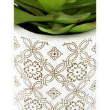 Fiori Set Of 3 Succulents In Henna Ceramic Pots