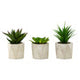 Fiori Set of 3 Succulents in Geo Cement Pots
