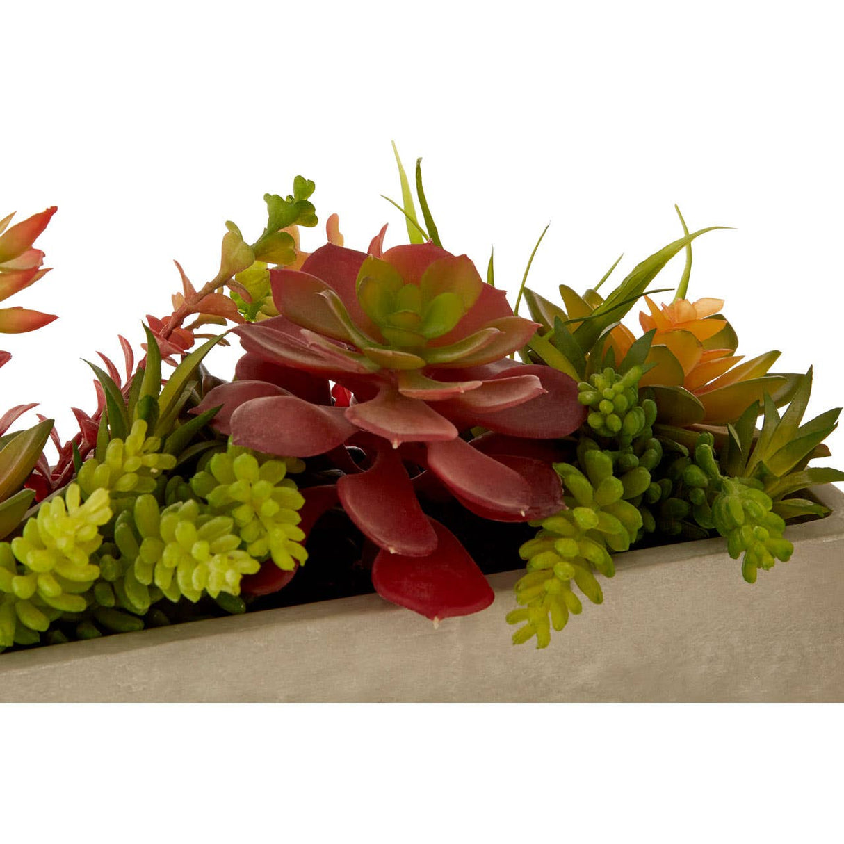 Fiori Mixed Succulents With Cement Pot