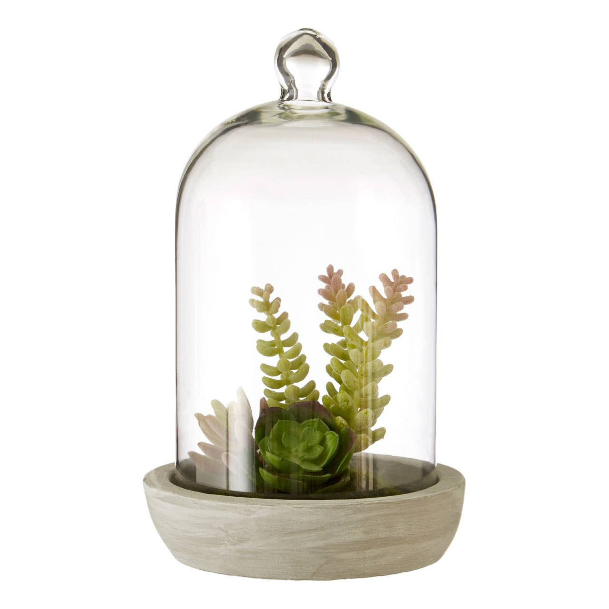 Fiori Large Succulent Dome Cement Base