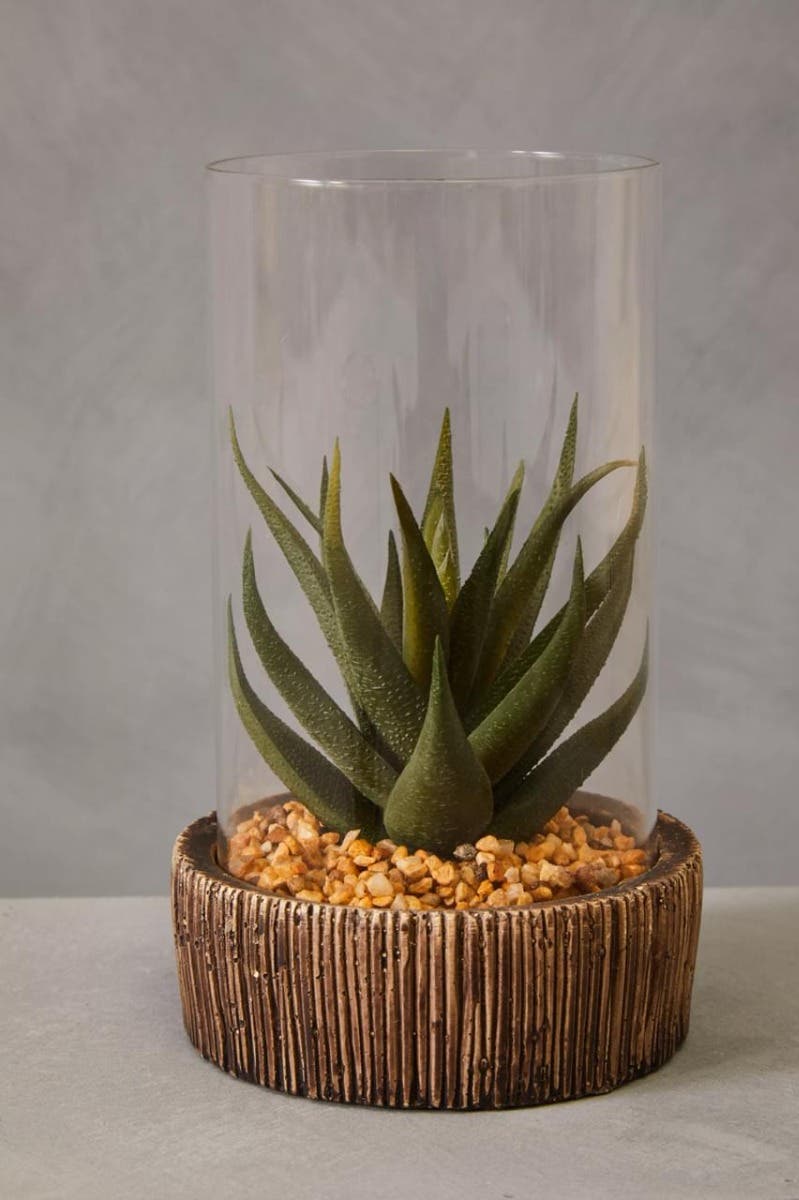 Fiori Small Succulent With Natural Stone Base
