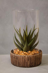 Fiori Small Succulent With Natural Stone Base