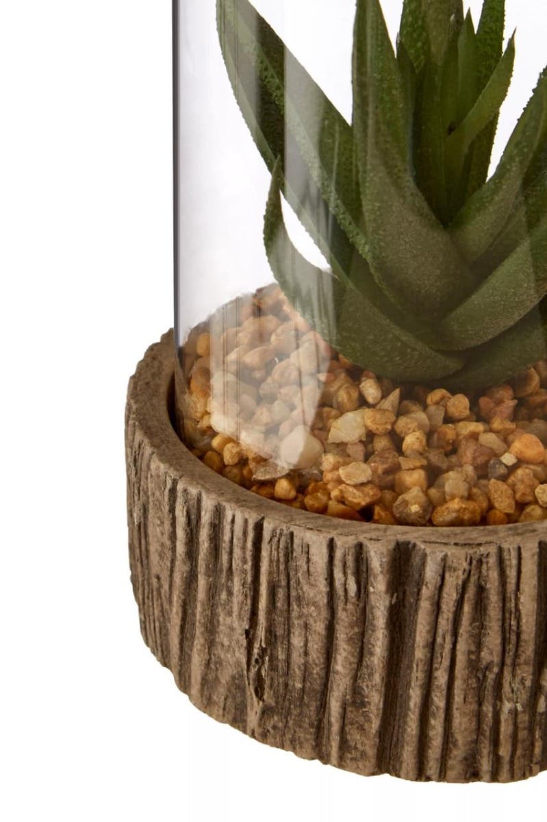 Fiori Small Succulent With Natural Stone Base