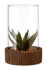 Fiori Large Succulent with Natural Stone Base
