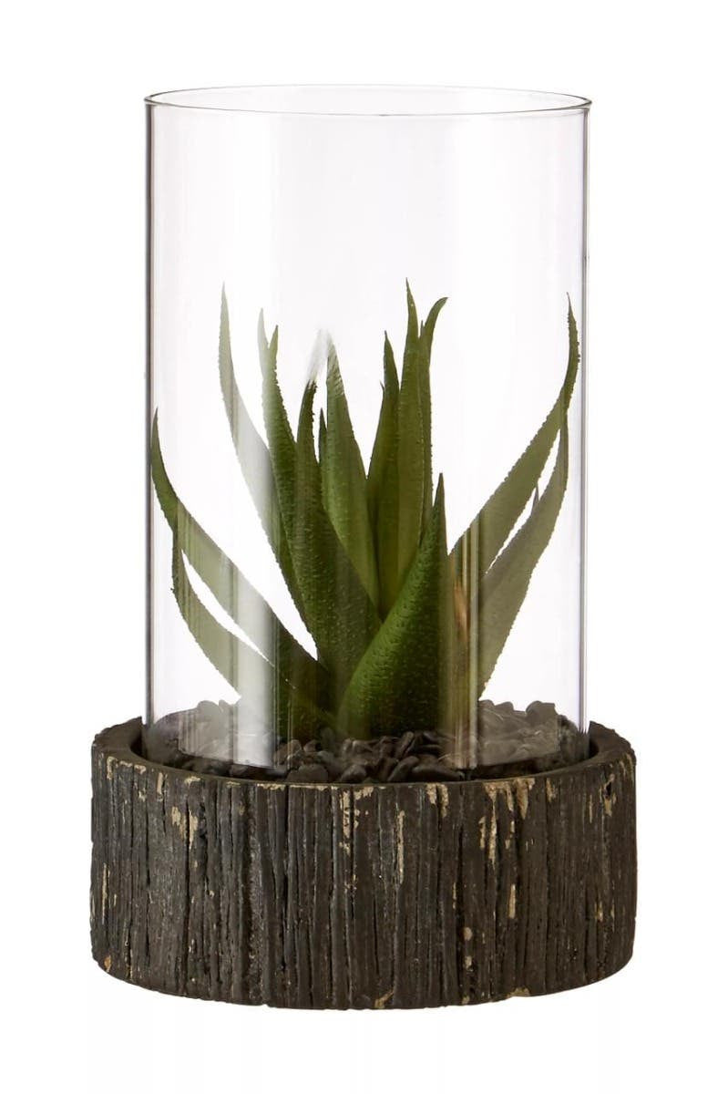 Fiori Small Succulent with Black Stone Base