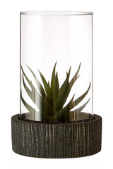 Fiori Large Succulent with Black Stone Base