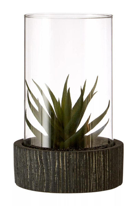 Fiori Large Succulent with Black Stone Base