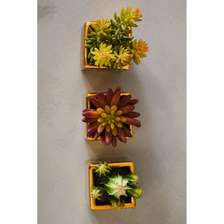 Mini Succulents Fiori With Gold Pot -  Set Of 3