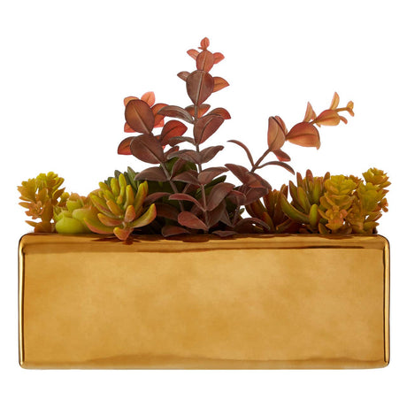 Mixed Succulents Fiori With Ceramic Gold Pot