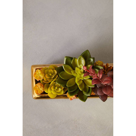 Mixed Succulents Fiori With Ceramic Gold Pot