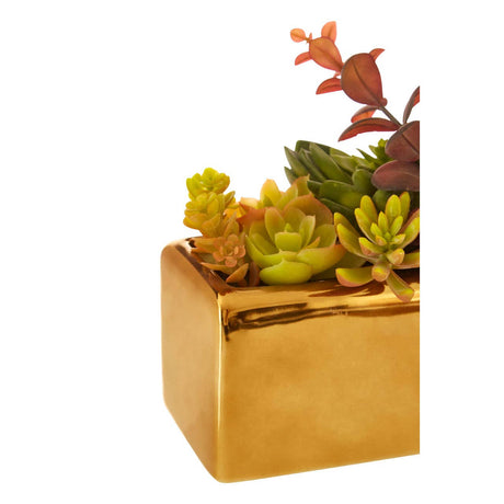 Mixed Succulents Fiori With Ceramic Gold Pot