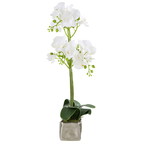 Fiori White Orchid Plant / Silver Finish Pot