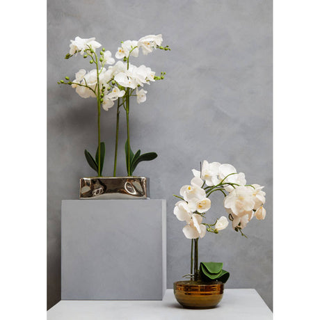 Fiori White Orchid Plant / Silver Finish Pot