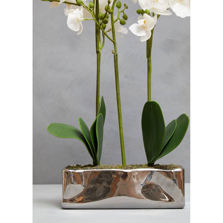 Fiori White Orchid Plant / Silver Finish Pot