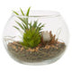 Fiori Small Glass Pot Mixed Succulent