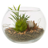 Fiori Small Glass Pot Mixed Succulent