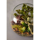 Fiori Large Glass Pot Mixed Succulent
