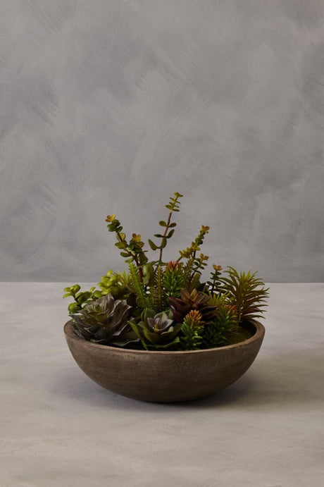 Fiori Stone Effect Pot Mixed Succulent