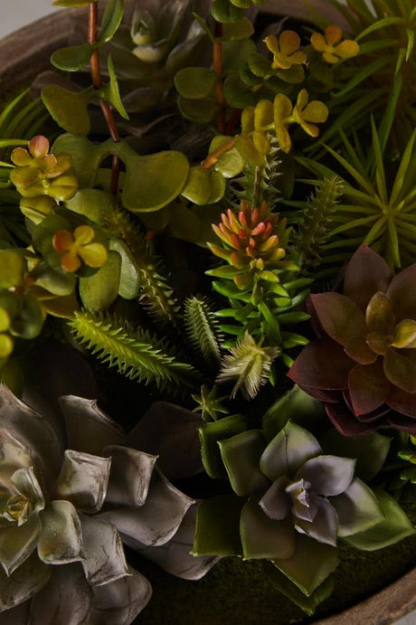 Fiori Stone Effect Pot Mixed Succulent
