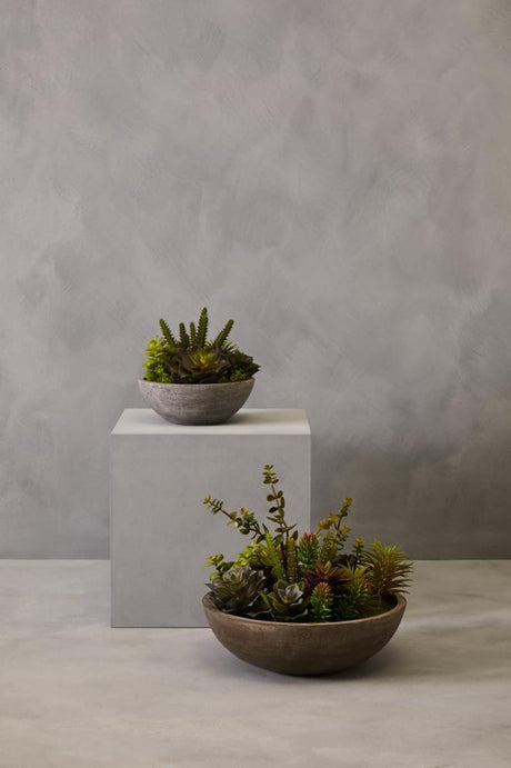 Fiori Stone Effect Pot Mixed Succulent
