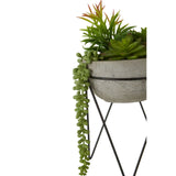 Fiori Mixed Succulent With Metal Stand