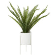 Fiori Fern With White Cement And Iron Pot