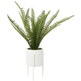 Fiori Fern With White Cement And Iron Pot