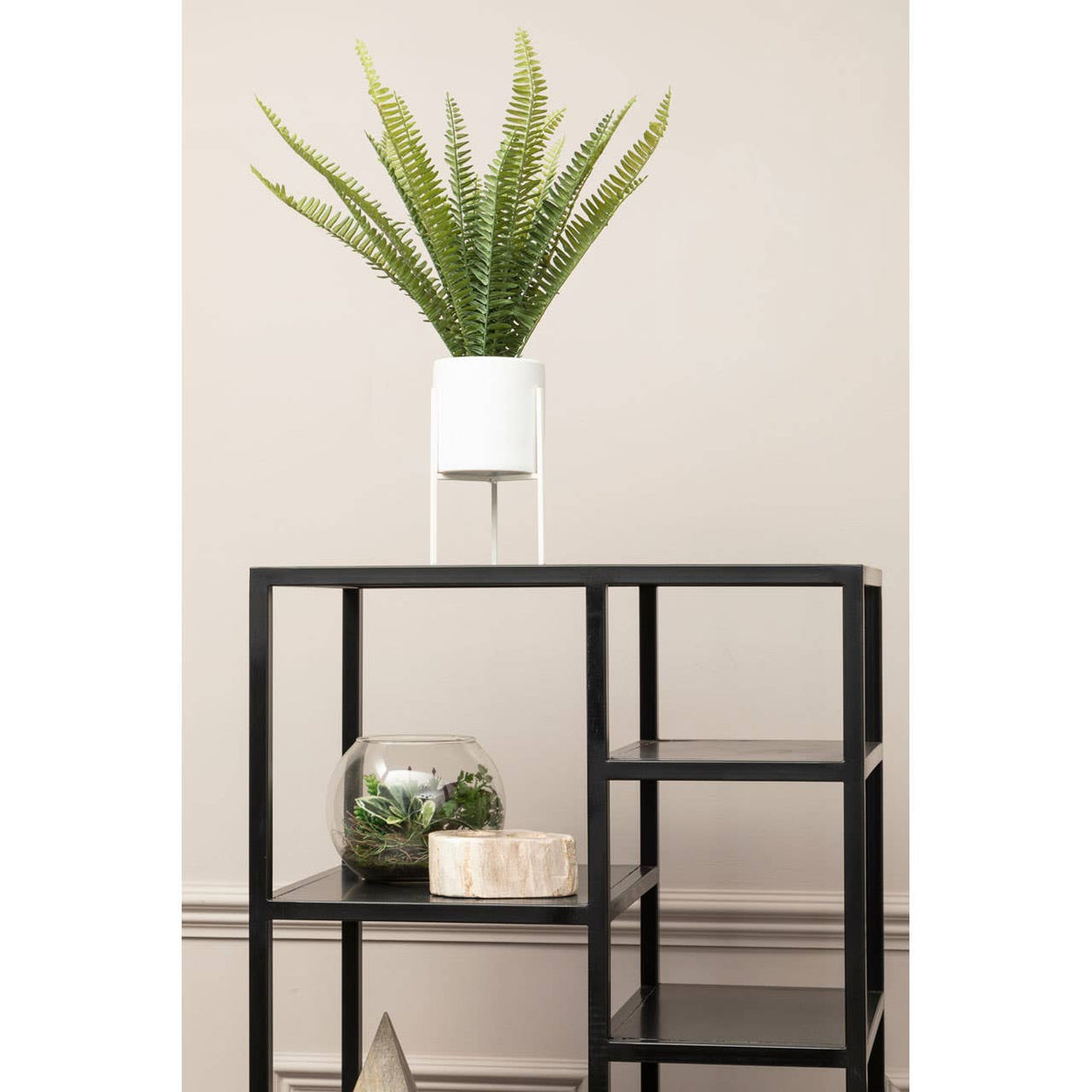 Fiori Fern With White Cement And Iron Pot