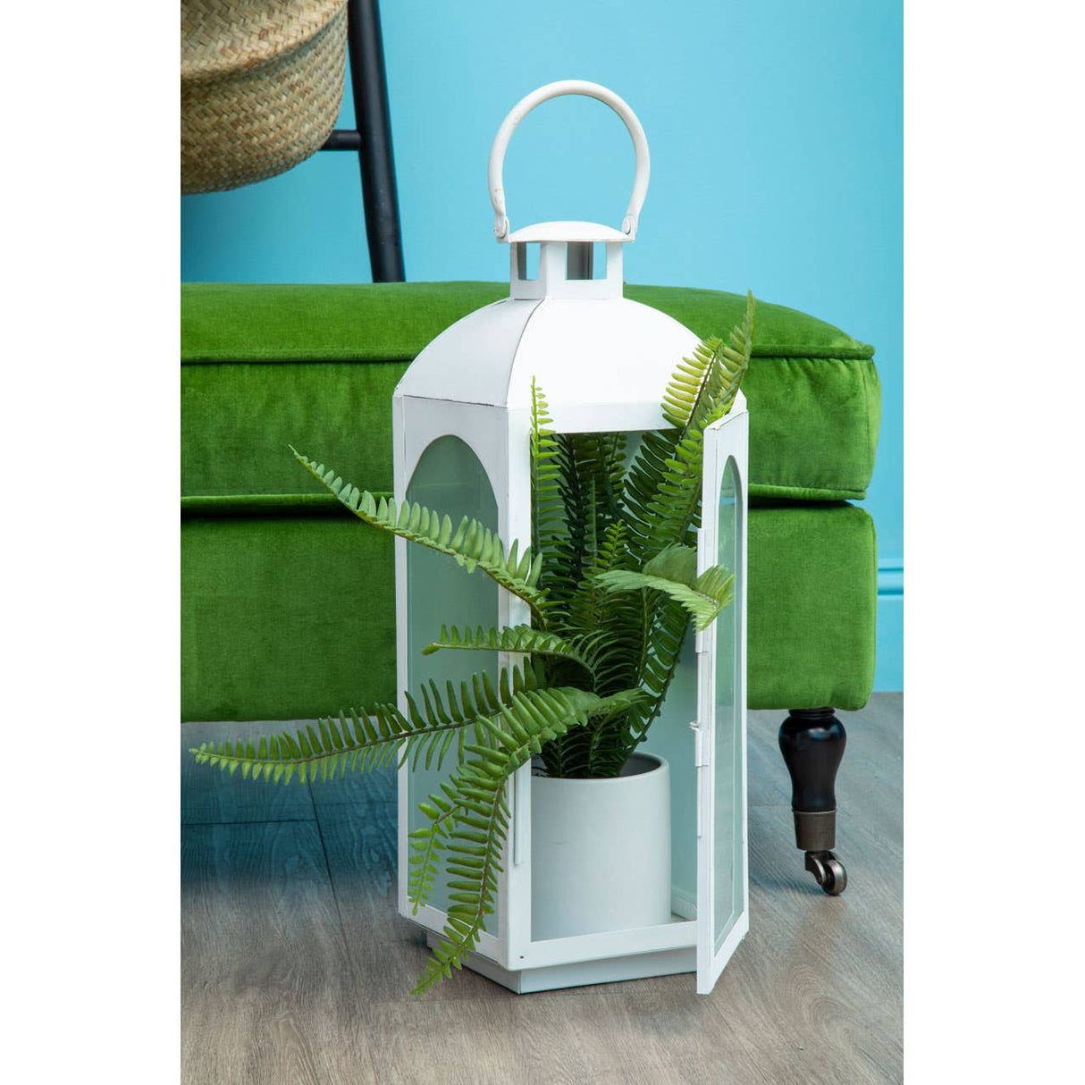 Fiori Fern With White Cement And Iron Pot