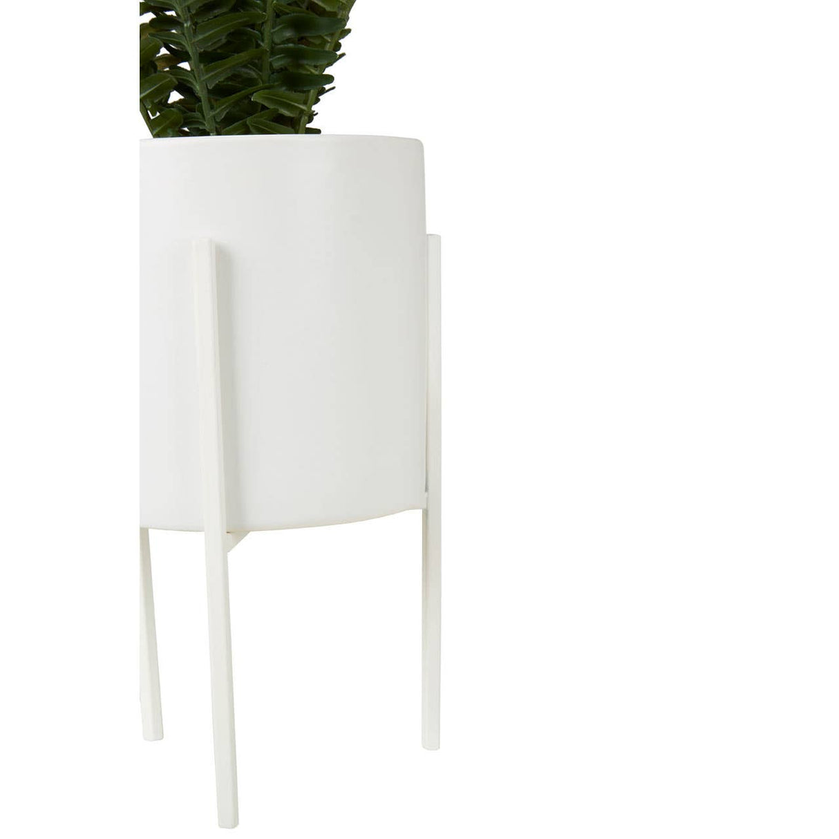 Fiori Fern With White Cement And Iron Pot