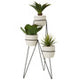 Fiori Set of 3 Succulents with Metal Stand