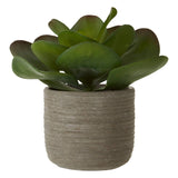Fiori Lotus Succulent