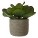 Fiori Lotus Succulent