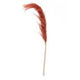 Fiori Pampas Grass Orange Stem