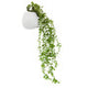 Fiori Trailing Ivy