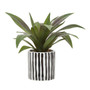 Fiori Agave In Ceramic Pot