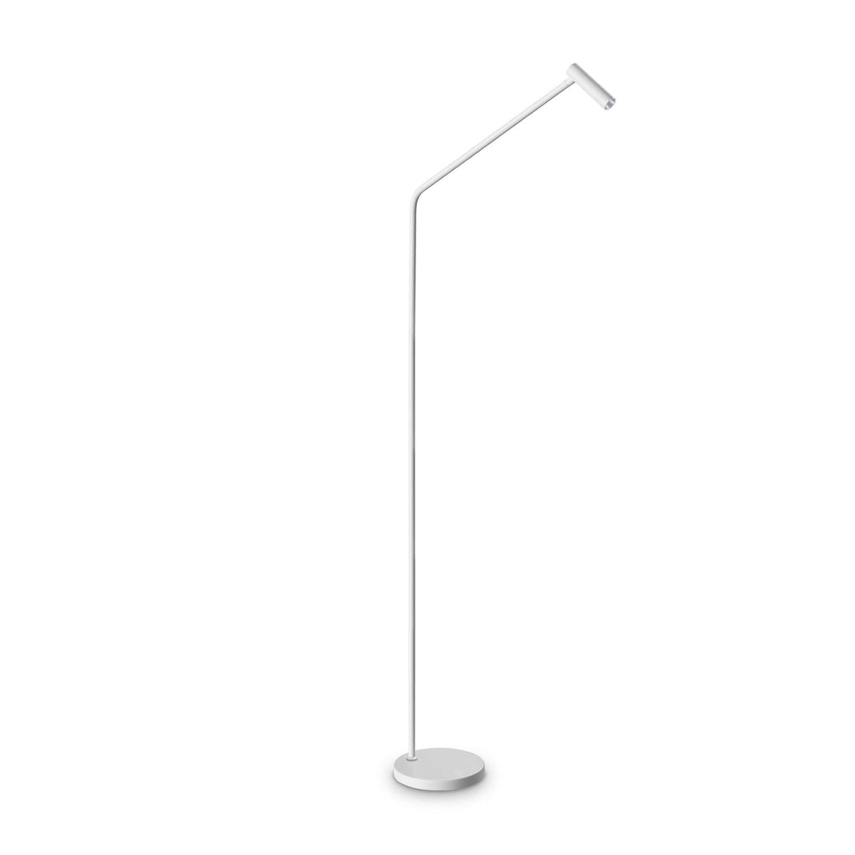 Minimalist White Desk Lamp
