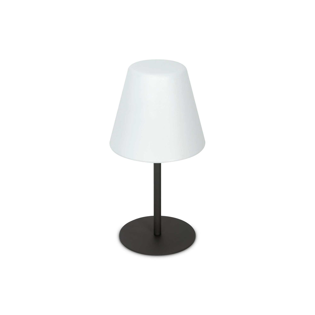 Elegant Arcadia Single Bulb Table Lamp
