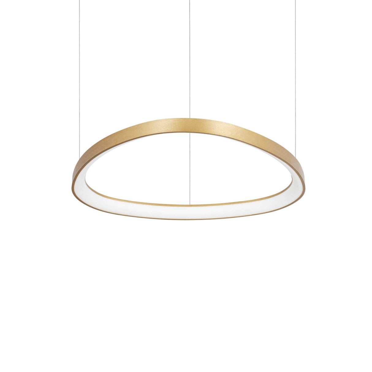 GEMINI Brass Pendant Light D061 with DALI/PUSH Functionality