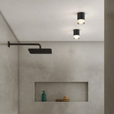 Matte Black Ottawa Ceiling Pendant Light