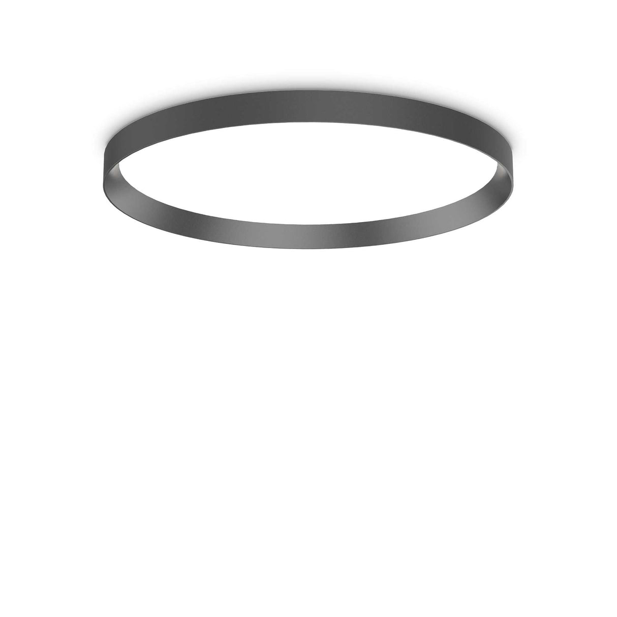 Elegant Black FLY Ceiling Light with 4000K Illumination
