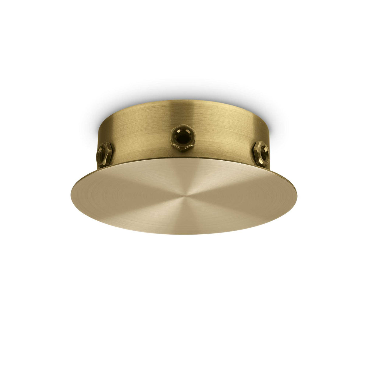 Magnetic Brass Pendant Rosette with 6 Lights