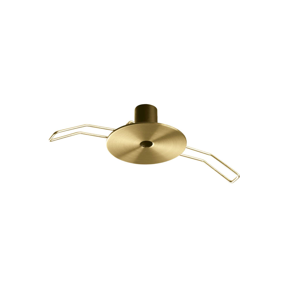 Brass Rosette Inset